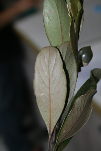 «ö¦¹¦b·sµøµ¡ÂsÄý¹Ï¤ù