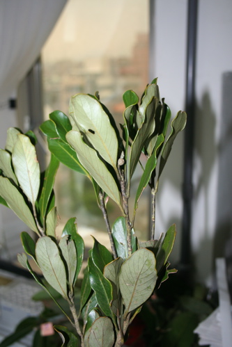 «ö¦¹¦b·sµøµ¡ÂsÄý¹Ï¤ù