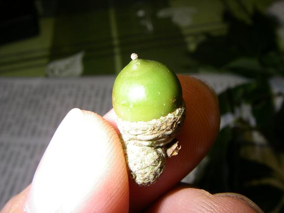 «ö¦¹¦b·sµøµ¡ÂsÄý¹Ï¤ù