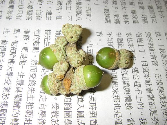 «ö¦¹¦b·sµøµ¡ÂsÄý¹Ï¤ù