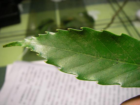 «ö¦¹¦b·sµøµ¡ÂsÄý¹Ï¤ù