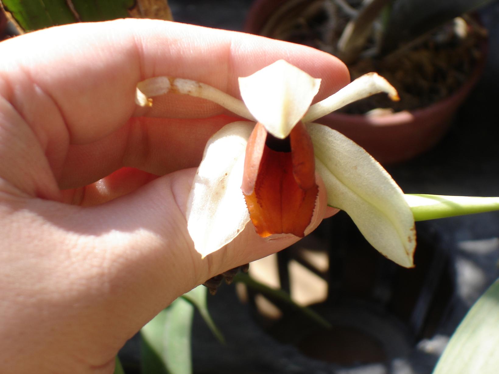 «ö¦¹¦b·sµøµ¡ÂsÄý¹Ï¤ù