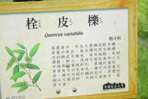 «ö¦¹¦b·sµøµ¡ÂsÄý¹Ï¤ù