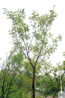 «ö¦¹¦b·sµøµ¡ÂsÄý¹Ï¤ù