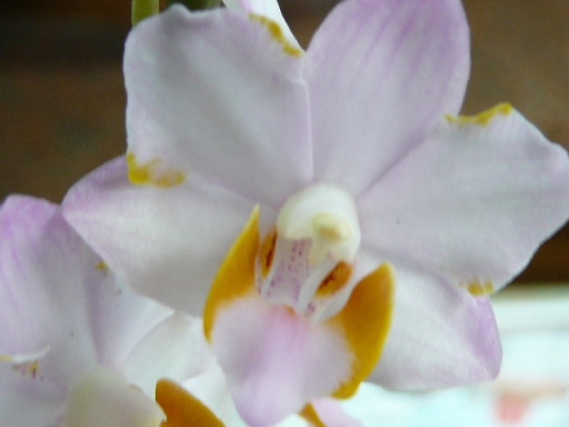 «ö¦¹¦b·sµøµ¡ÂsÄý¹Ï¤ù