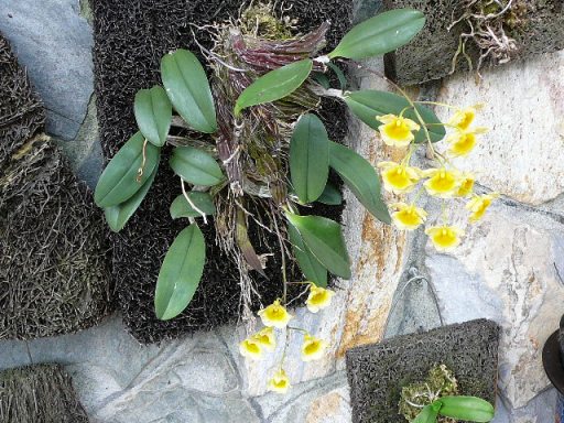 «ö¦¹¦b·sµøµ¡ÂsÄý¹Ï¤ù