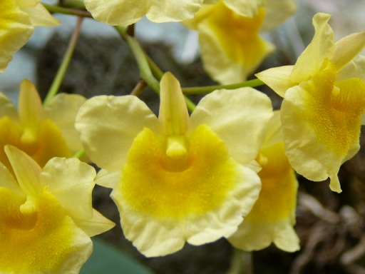 «ö¦¹¦b·sµøµ¡ÂsÄý¹Ï¤ù