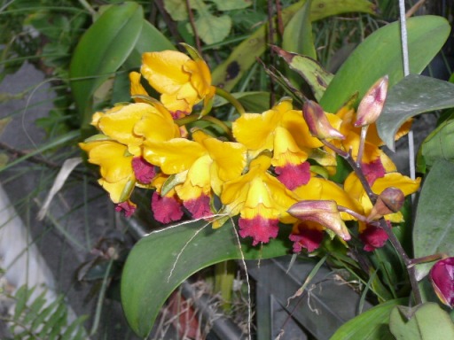 «ö¦¹¦b·sµøµ¡ÂsÄý¹Ï¤ù