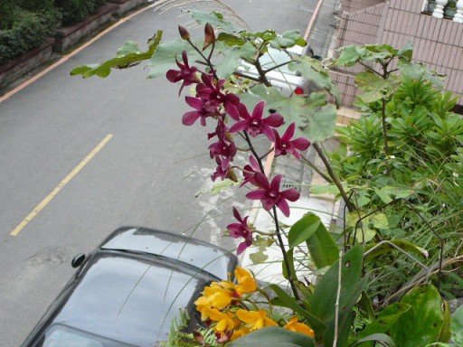 «ö¦¹¦b·sµøµ¡ÂsÄý¹Ï¤ù