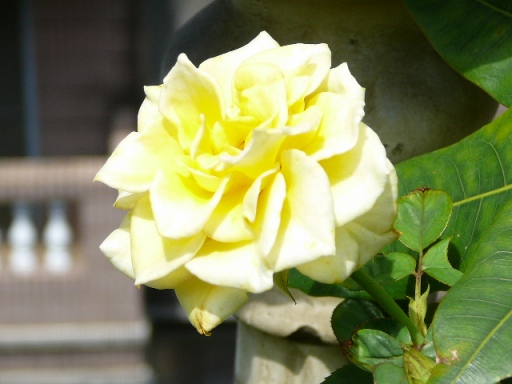 «ö¦¹¦b·sµøµ¡ÂsÄý¹Ï¤ù