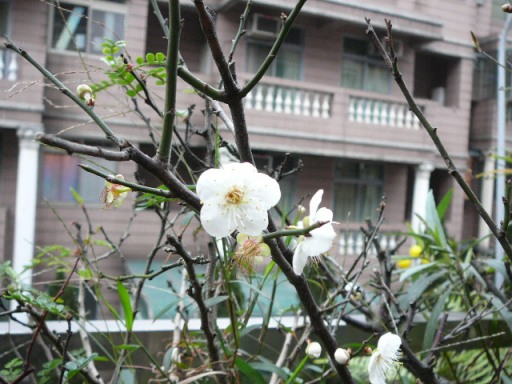 «ö¦¹¦b·sµøµ¡ÂsÄý¹Ï¤ù