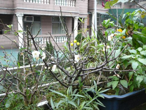 «ö¦¹¦b·sµøµ¡ÂsÄý¹Ï¤ù