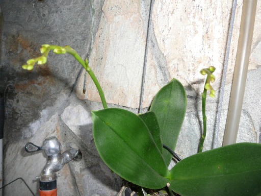 «ö¦¹¦b·sµøµ¡ÂsÄý¹Ï¤ù