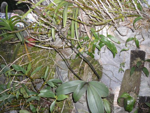 «ö¦¹¦b·sµøµ¡ÂsÄý¹Ï¤ù