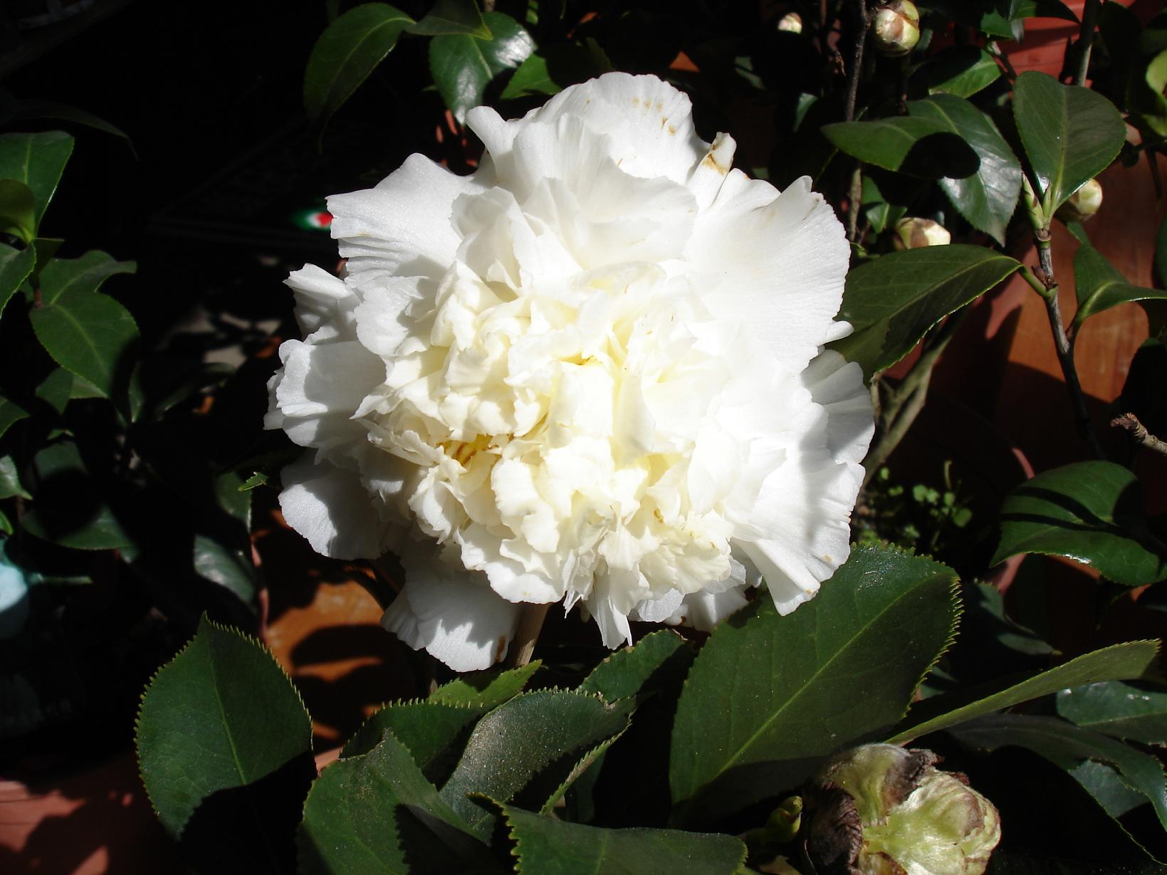 «ö¦¹¦b·sµøµ¡ÂsÄý¹Ï¤ù