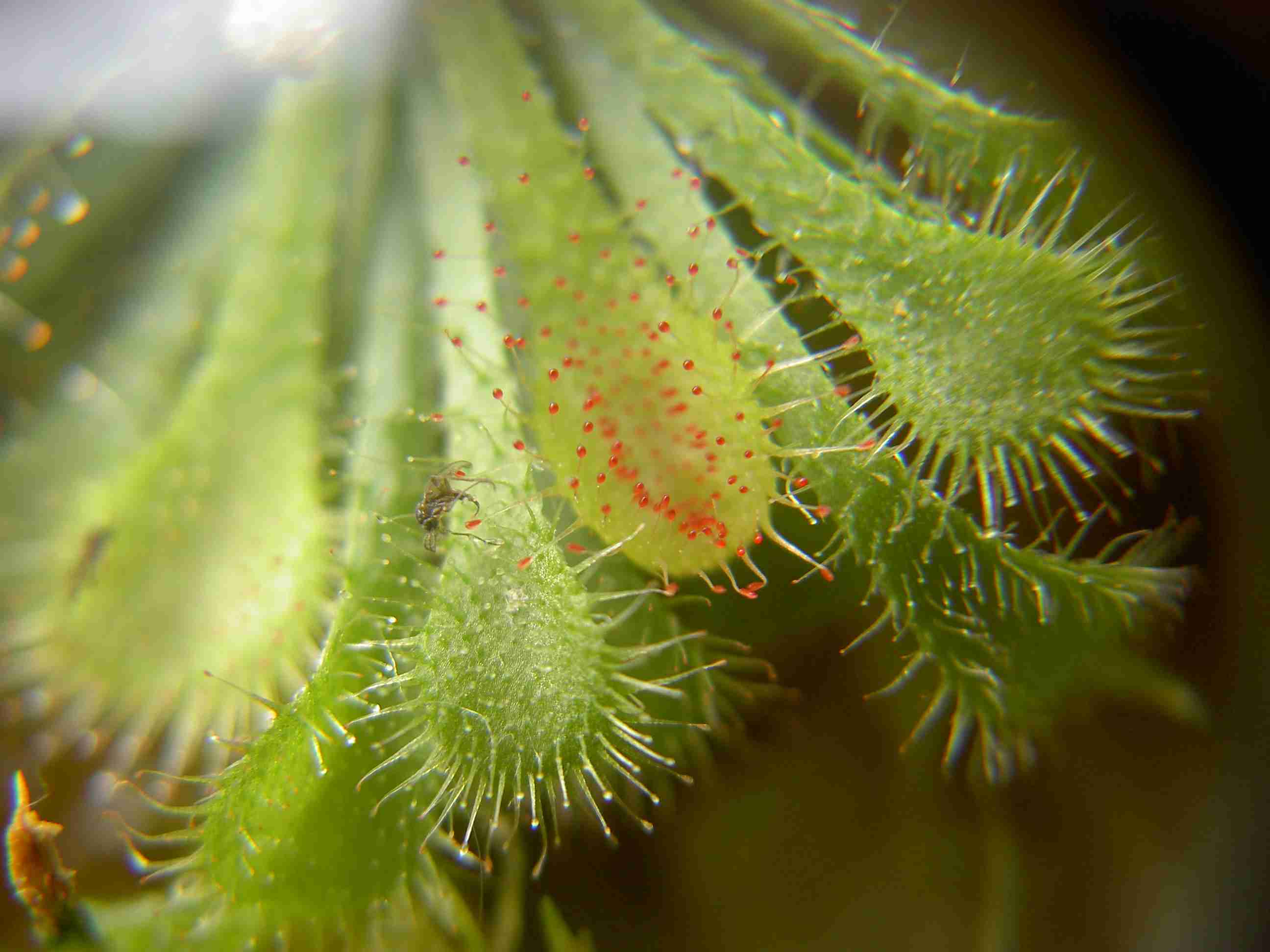 «ö¦¹¦b·sµøµ¡ÂsÄý¹Ï¤ù