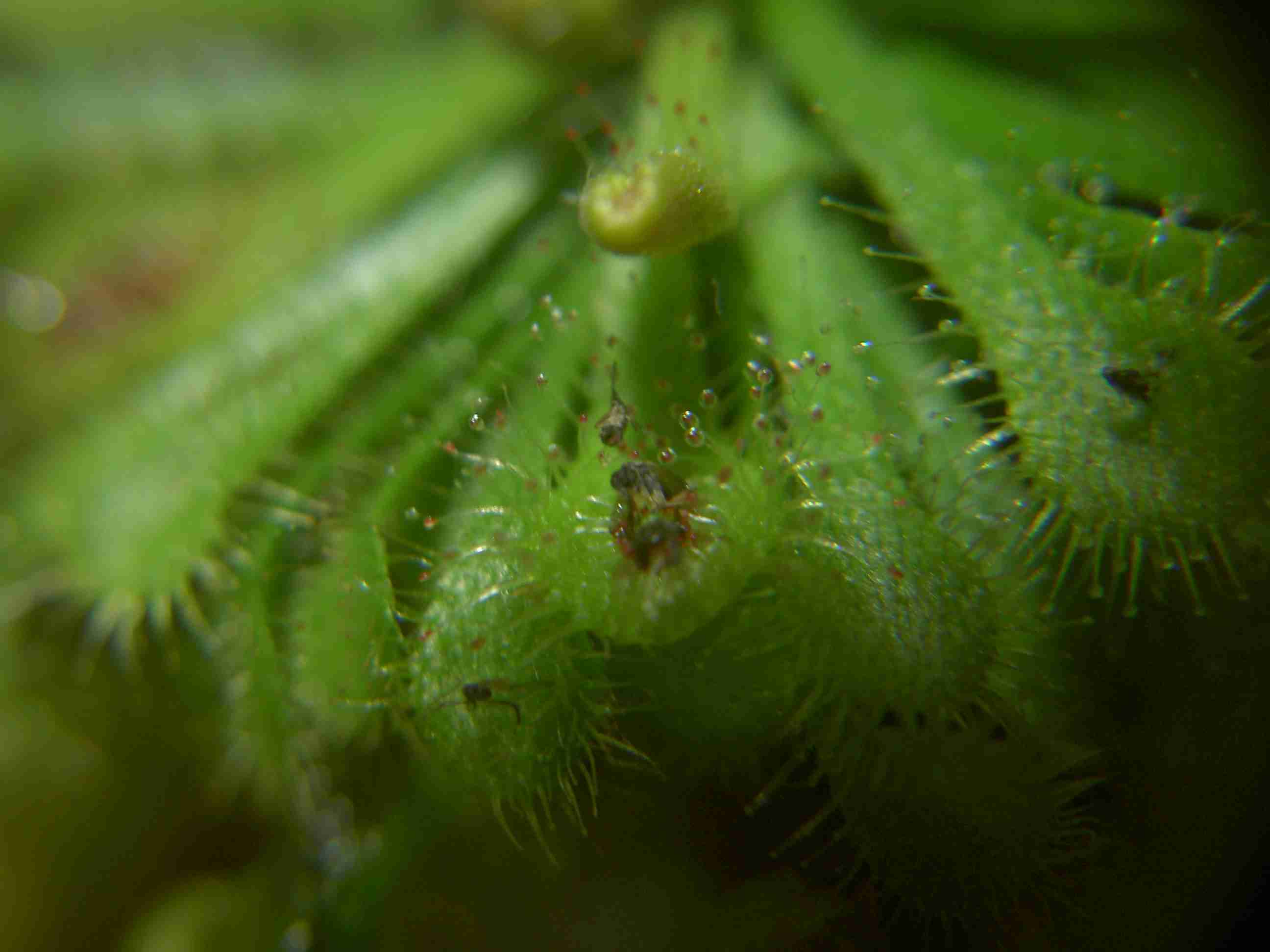 «ö¦¹¦b·sµøµ¡ÂsÄý¹Ï¤ù