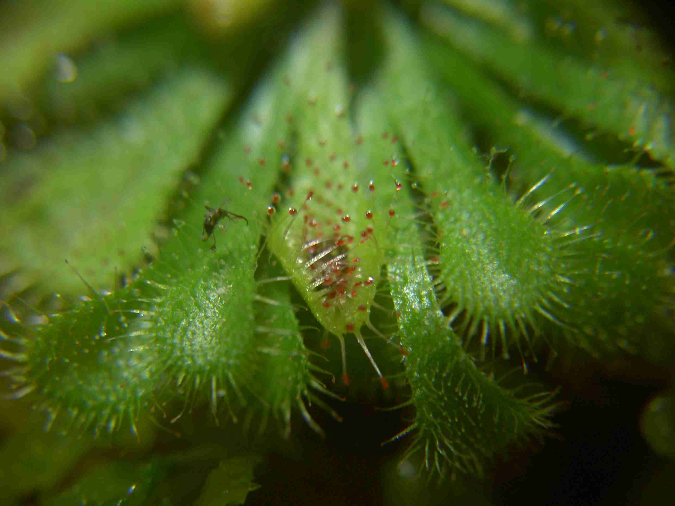 «ö¦¹¦b·sµøµ¡ÂsÄý¹Ï¤ù