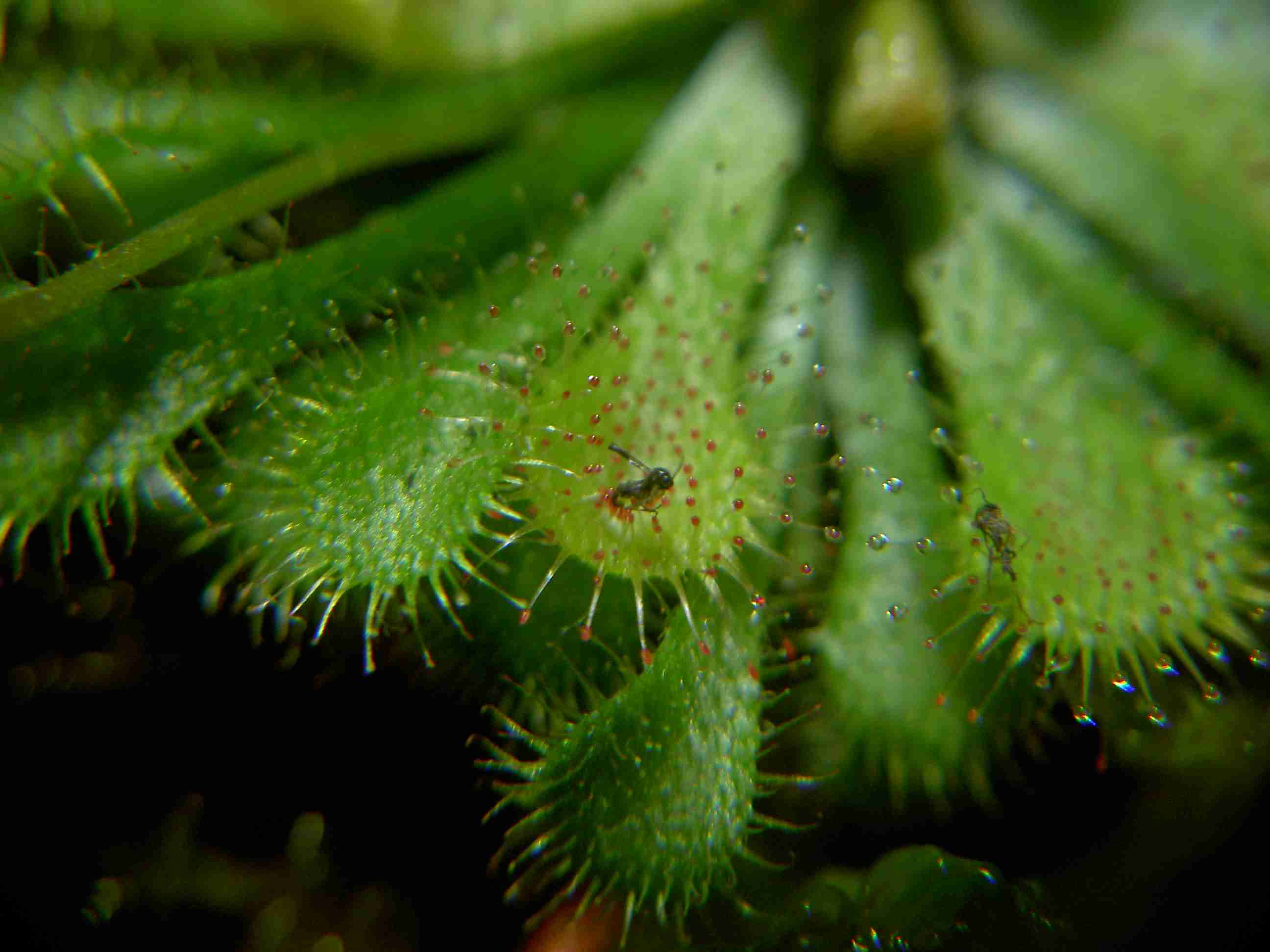 «ö¦¹¦b·sµøµ¡ÂsÄý¹Ï¤ù