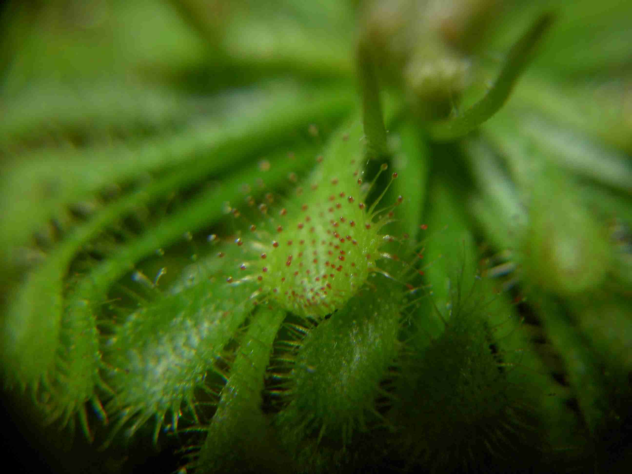 «ö¦¹¦b·sµøµ¡ÂsÄý¹Ï¤ù