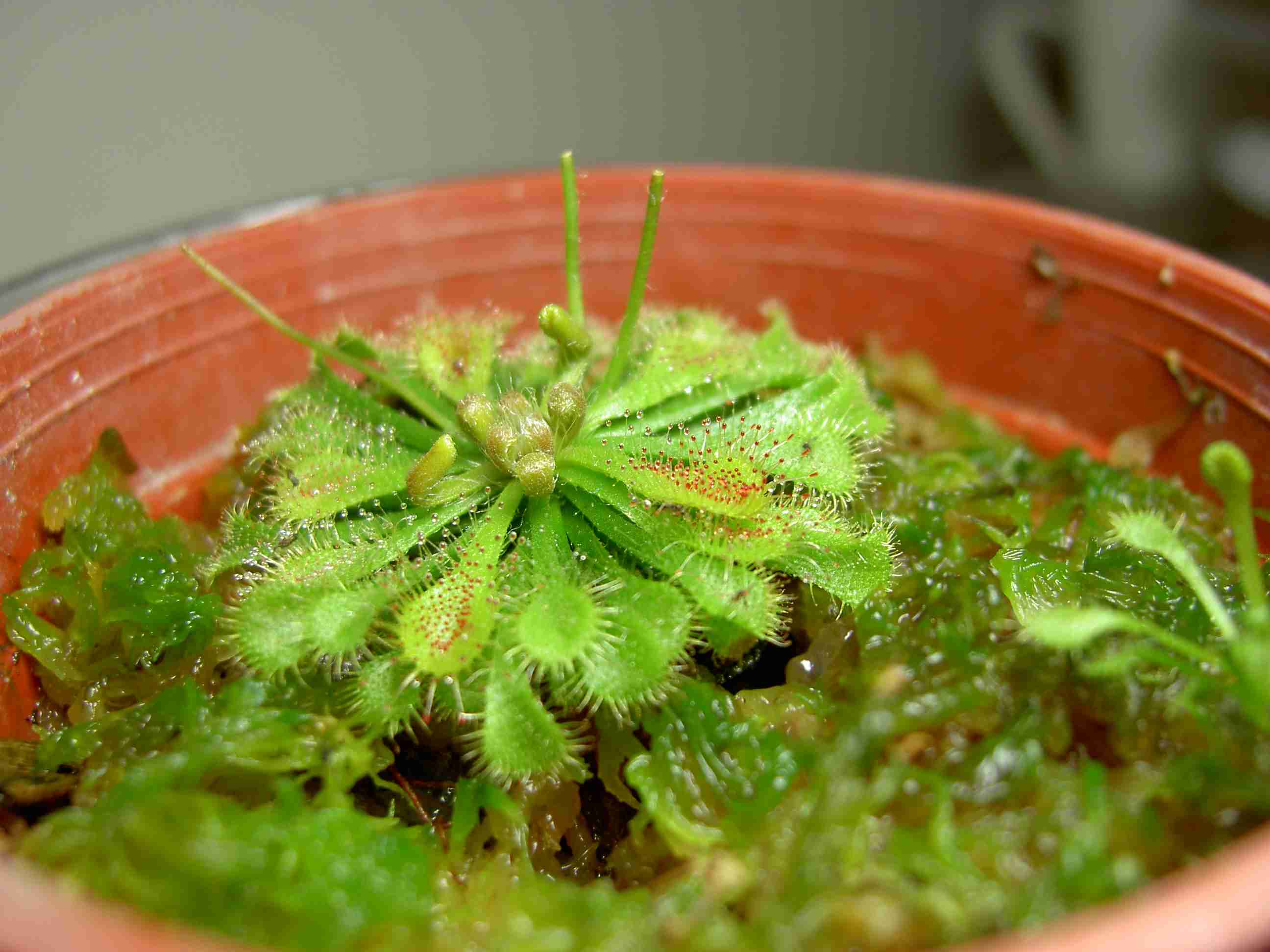 «ö¦¹¦b·sµøµ¡ÂsÄý¹Ï¤ù