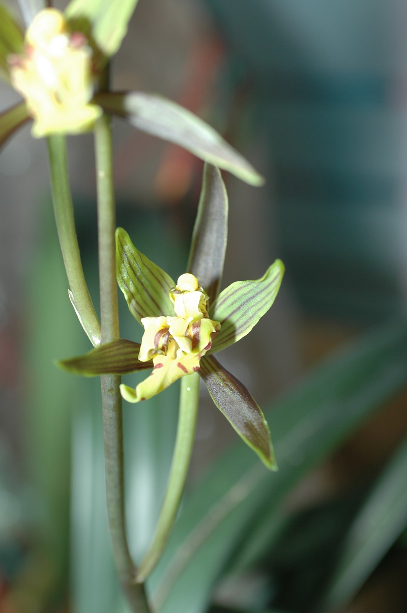 «ö¦¹¦b·sµøµ¡ÂsÄý¹Ï¤ù