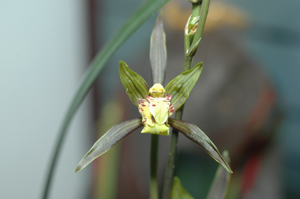 «ö¦¹¦b·sµøµ¡ÂsÄý¹Ï¤ù