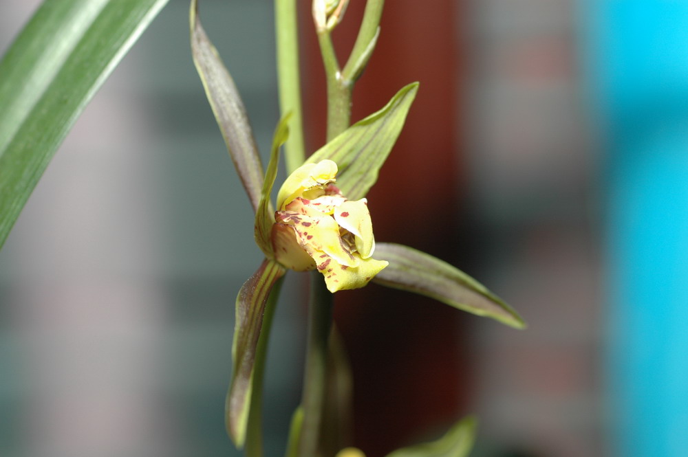 «ö¦¹¦b·sµøµ¡ÂsÄý¹Ï¤ù