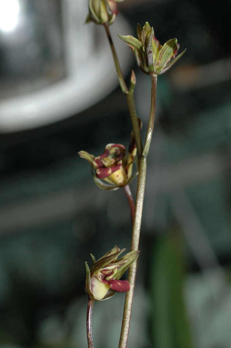 «ö¦¹¦b·sµøµ¡ÂsÄý¹Ï¤ù