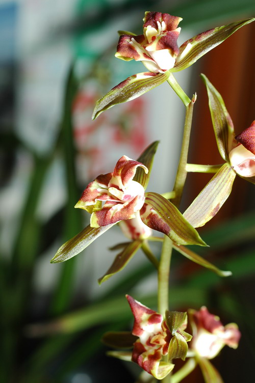 «ö¦¹¦b·sµøµ¡ÂsÄý¹Ï¤ù