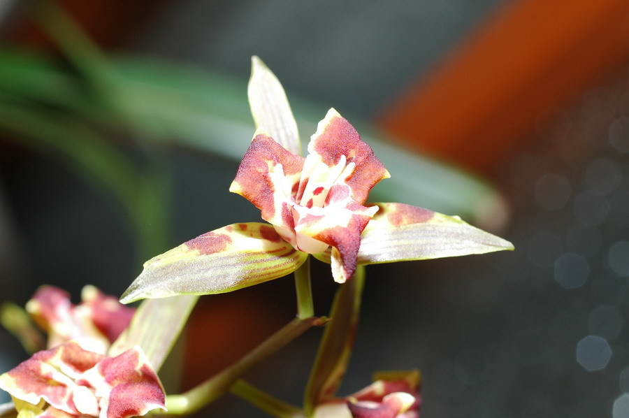 «ö¦¹¦b·sµøµ¡ÂsÄý¹Ï¤ù