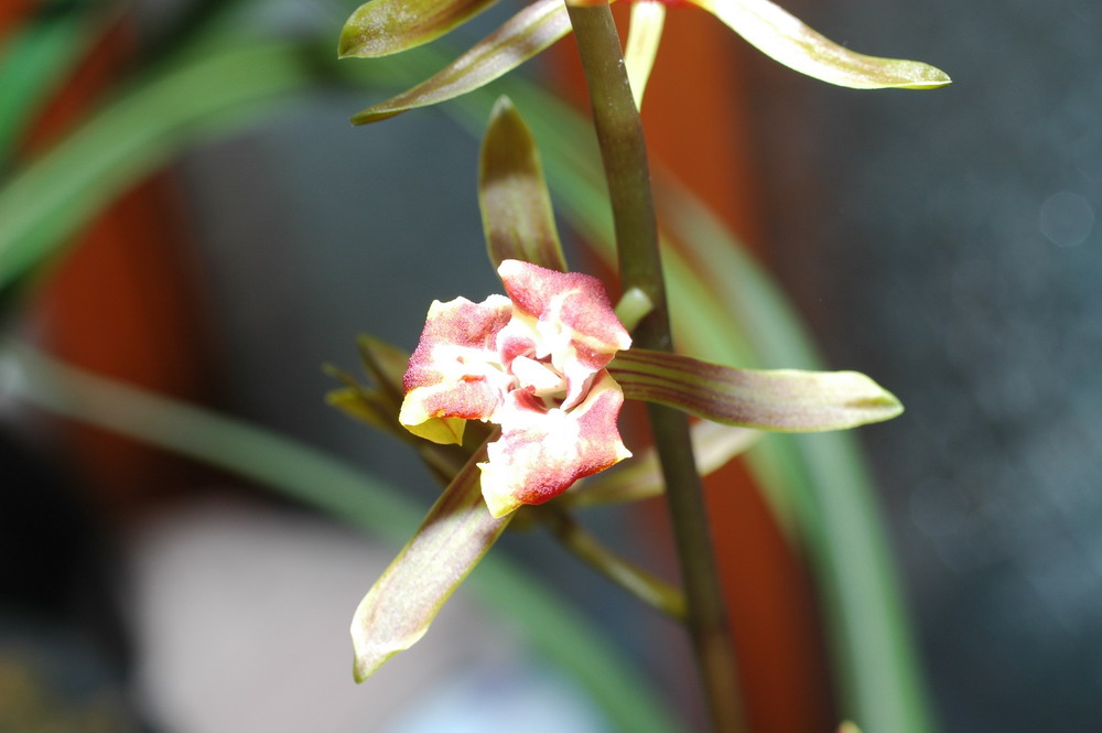 «ö¦¹¦b·sµøµ¡ÂsÄý¹Ï¤ù