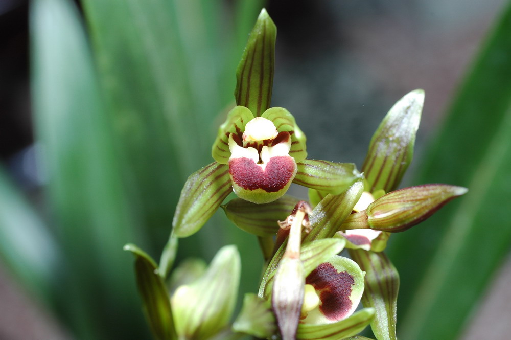 «ö¦¹¦b·sµøµ¡ÂsÄý¹Ï¤ù