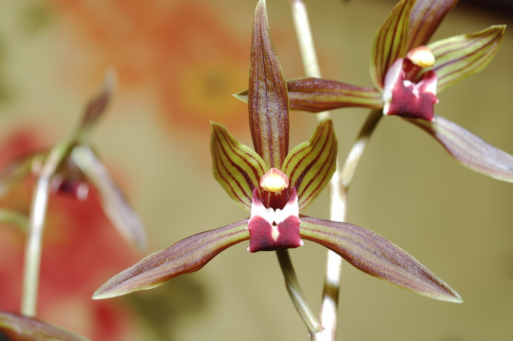 «ö¦¹¦b·sµøµ¡ÂsÄý¹Ï¤ù