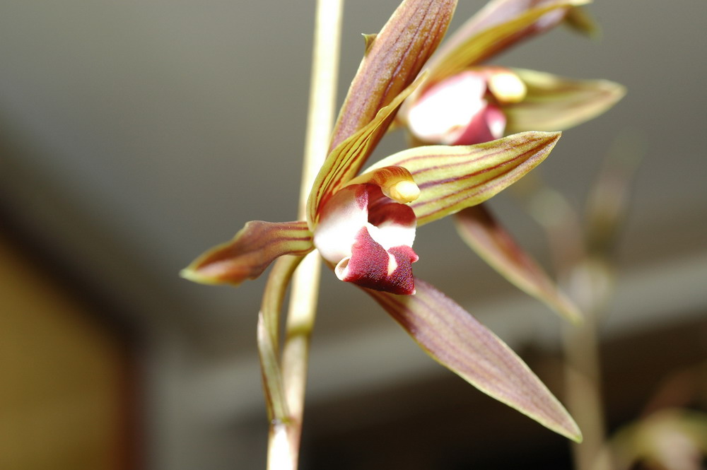 «ö¦¹¦b·sµøµ¡ÂsÄý¹Ï¤ù