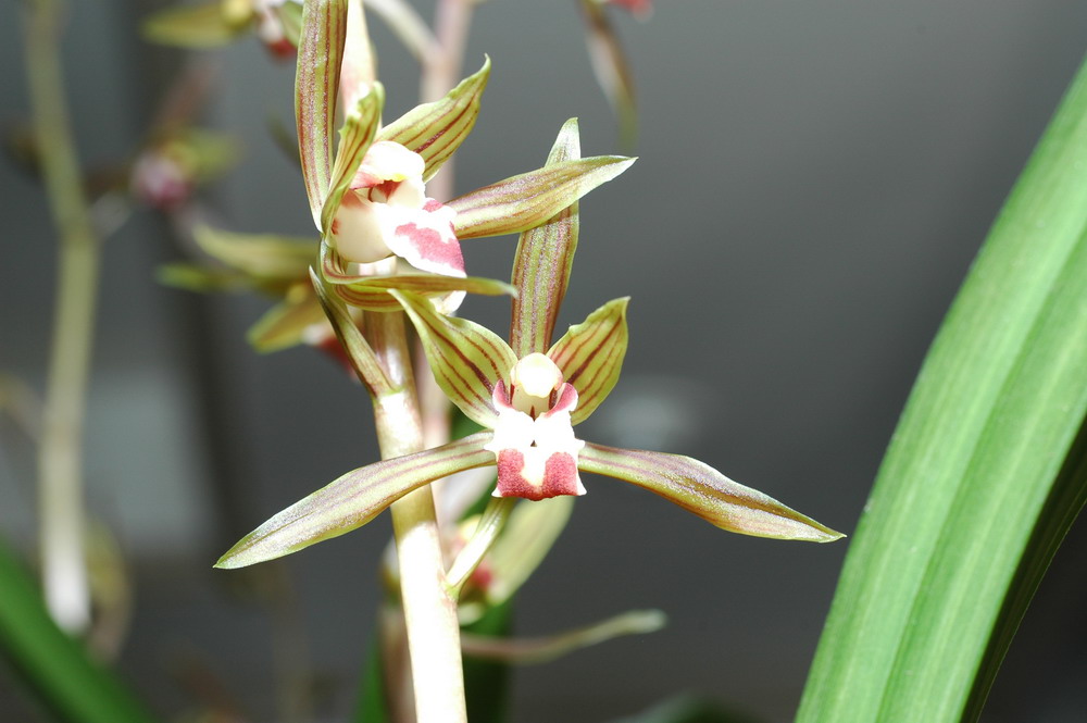 «ö¦¹¦b·sµøµ¡ÂsÄý¹Ï¤ù