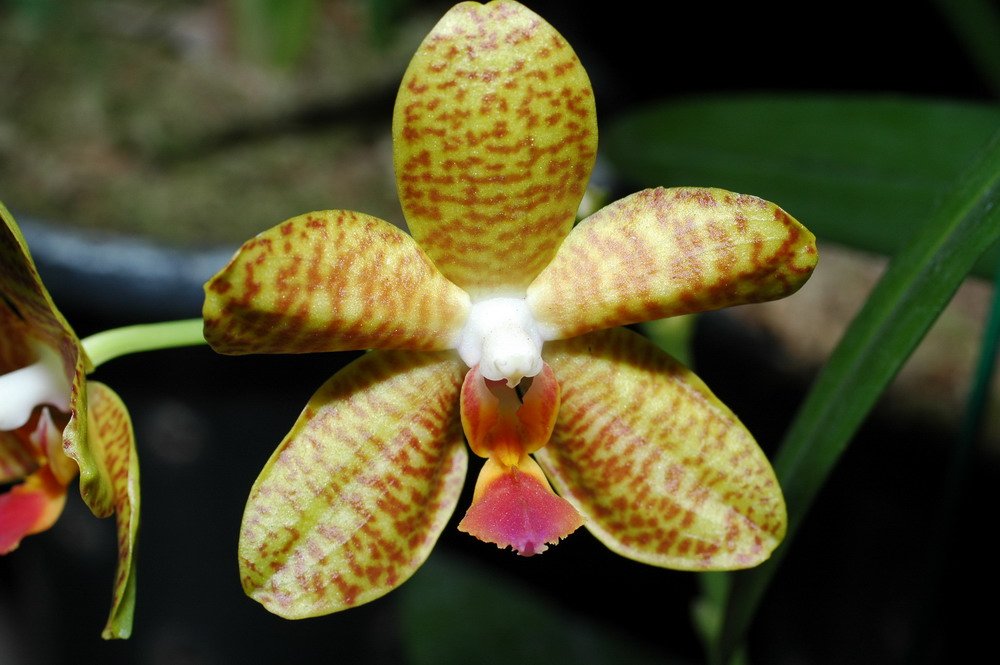 «ö¦¹¦b·sµøµ¡ÂsÄý¹Ï¤ù