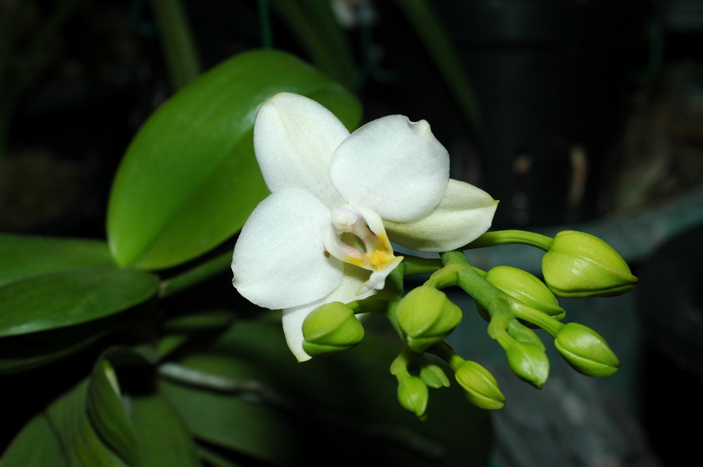 «ö¦¹¦b·sµøµ¡ÂsÄý¹Ï¤ù