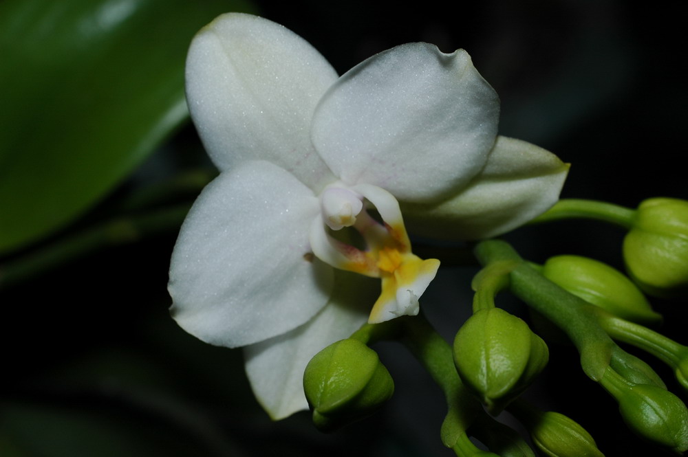 «ö¦¹¦b·sµøµ¡ÂsÄý¹Ï¤ù