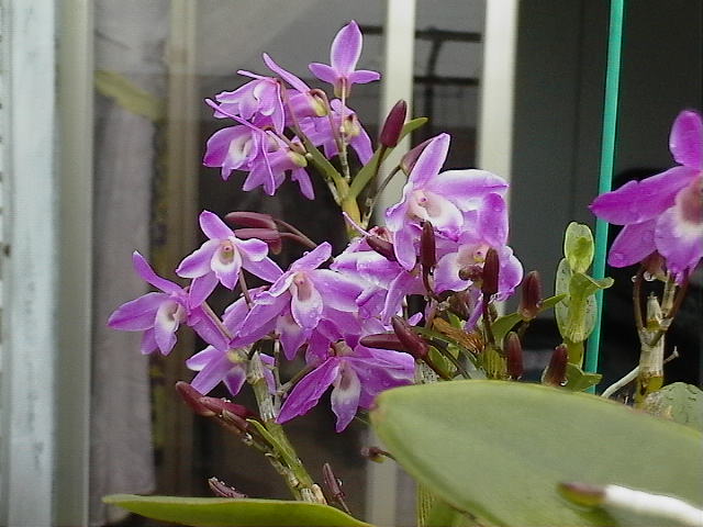 «ö¦¹¦b·sµøµ¡ÂsÄý¹Ï¤ù