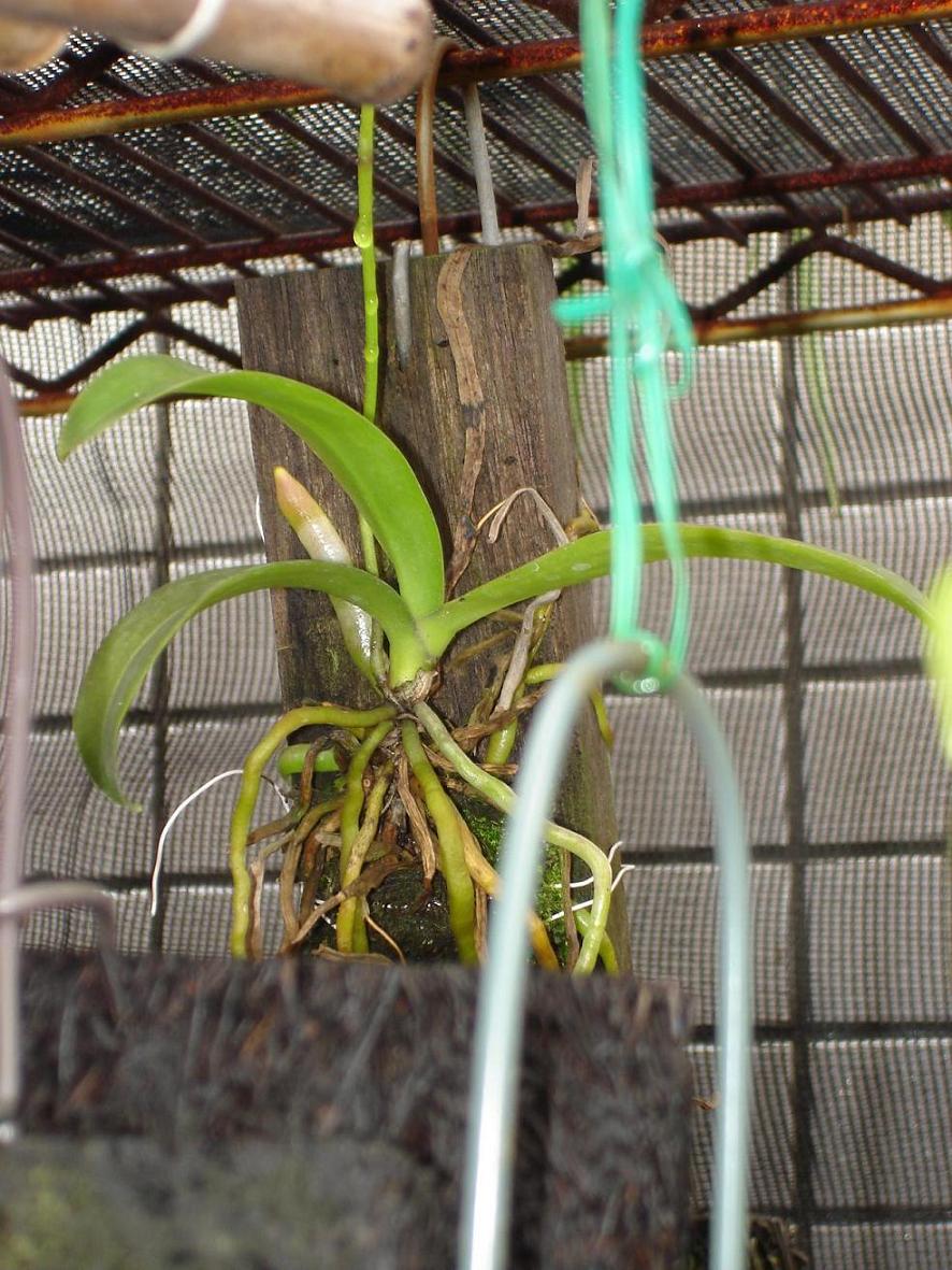 «ö¦¹¦b·sµøµ¡ÂsÄý¹Ï¤ù