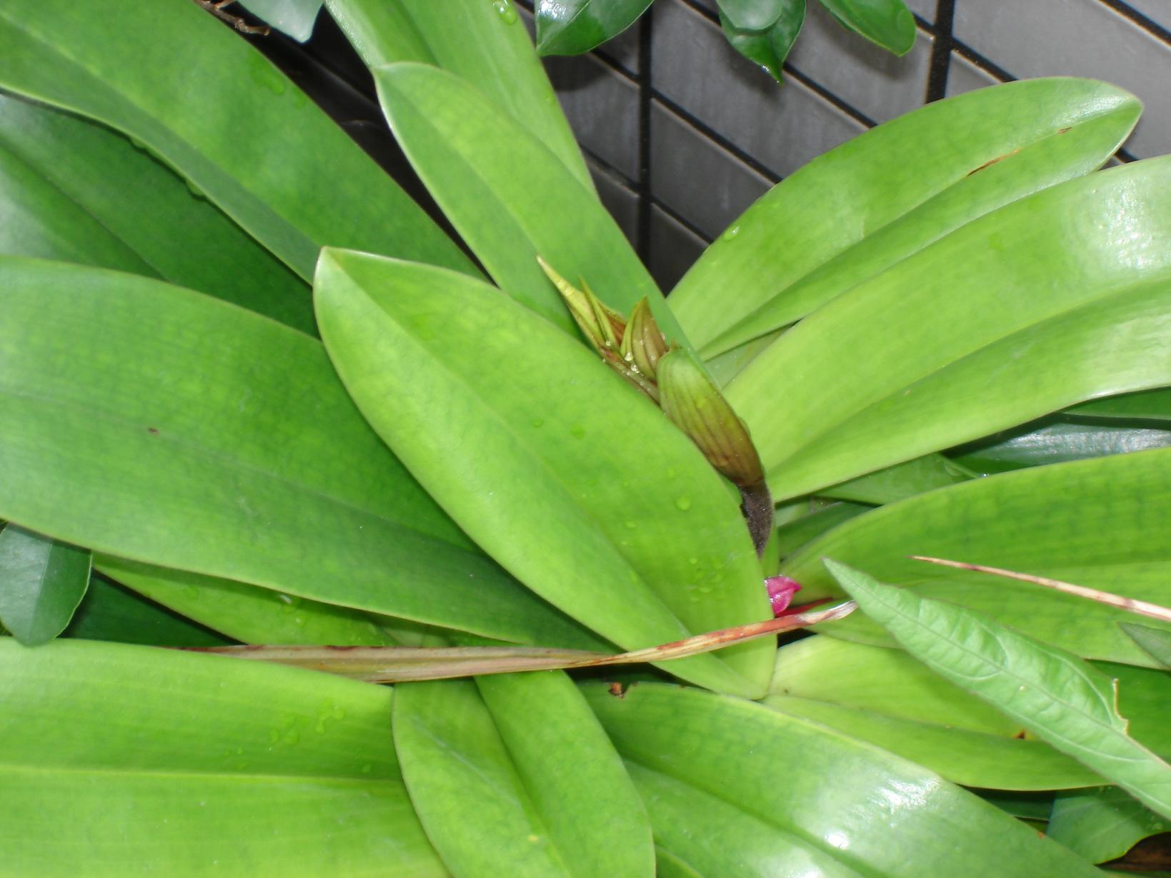 «ö¦¹¦b·sµøµ¡ÂsÄý¹Ï¤ù