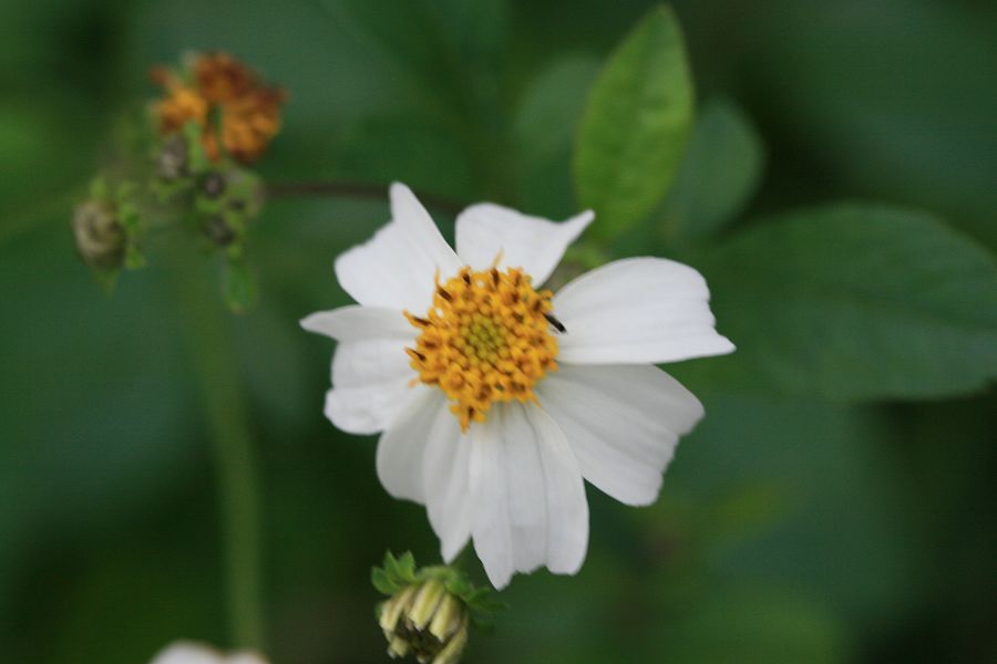 «ö¦¹¦b·sµøµ¡ÂsÄý¹Ï¤ù