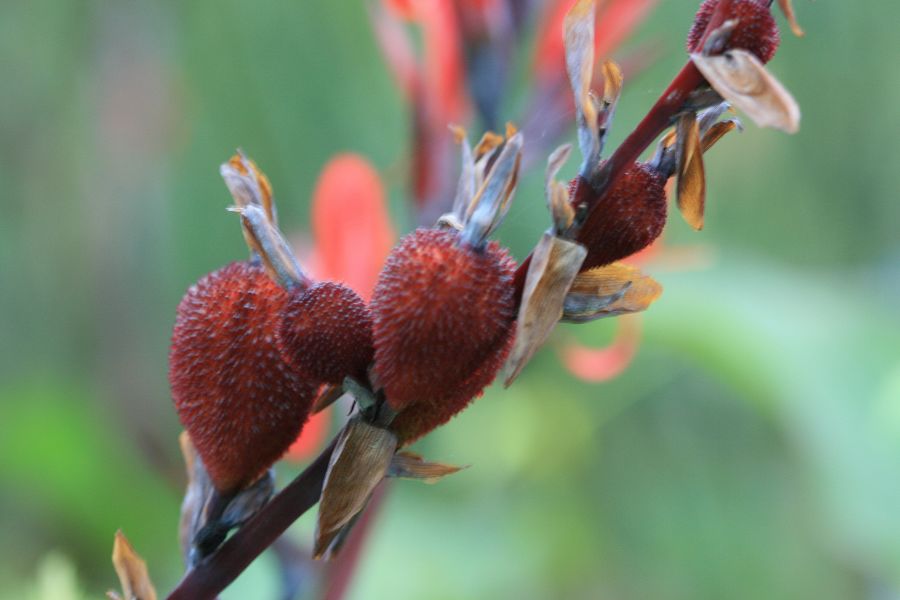 «ö¦¹¦b·sµøµ¡ÂsÄý¹Ï¤ù