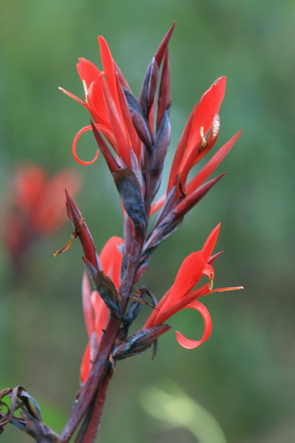 «ö¦¹¦b·sµøµ¡ÂsÄý¹Ï¤ù