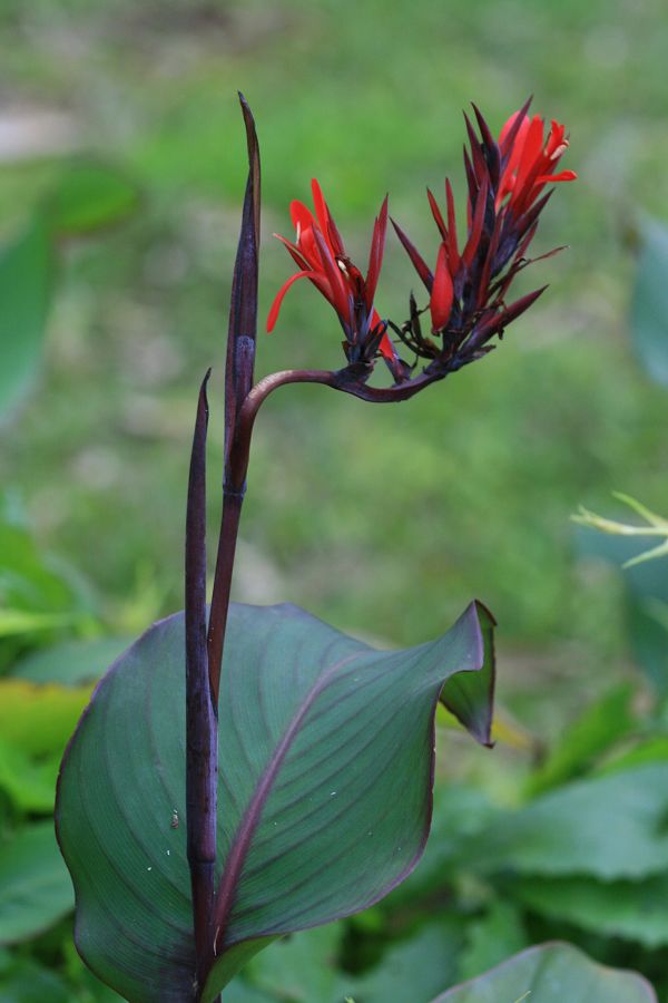 «ö¦¹¦b·sµøµ¡ÂsÄý¹Ï¤ù