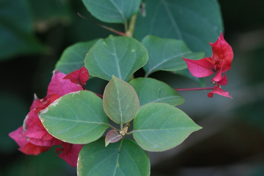 «ö¦¹¦b·sµøµ¡ÂsÄý¹Ï¤ù