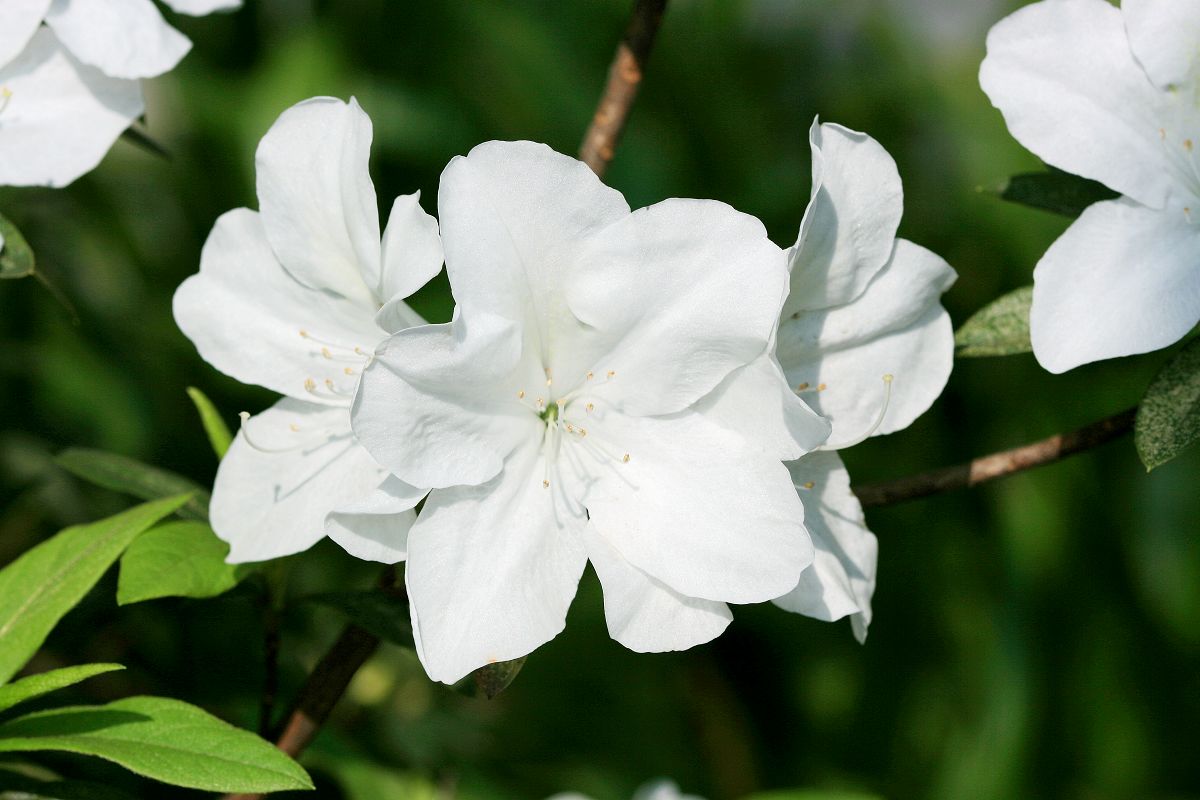 «ö¦¹¦b·sµøµ¡ÂsÄý¹Ï¤ù