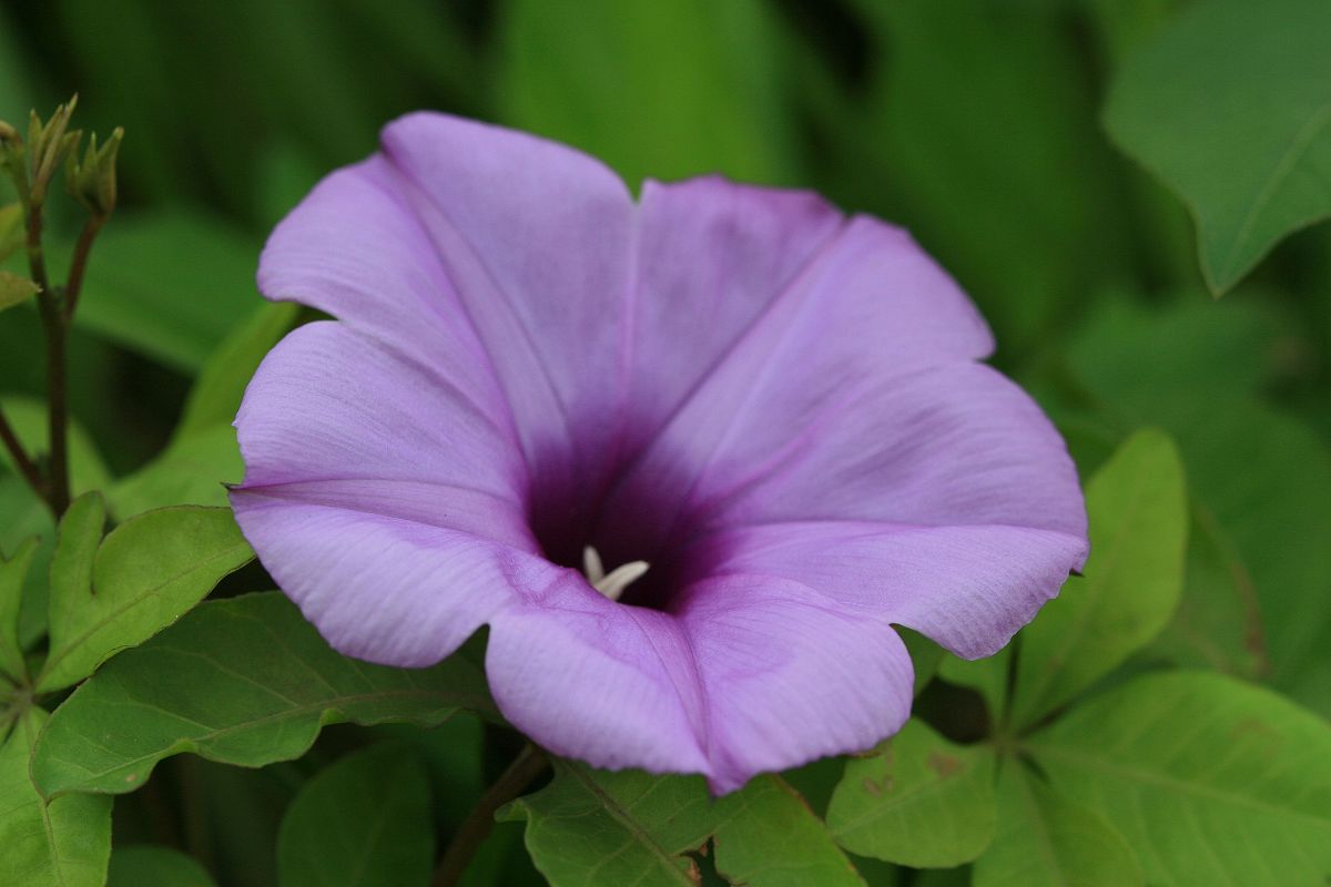 «ö¦¹¦b·sµøµ¡ÂsÄý¹Ï¤ù