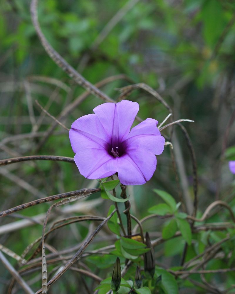 «ö¦¹¦b·sµøµ¡ÂsÄý¹Ï¤ù